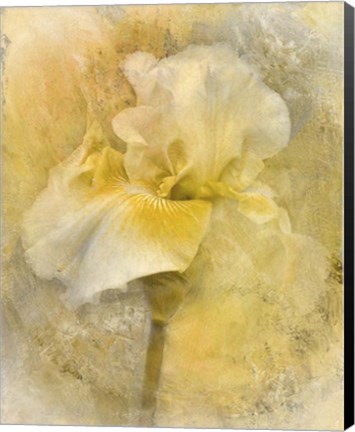 Framed Splash Of Spring Print