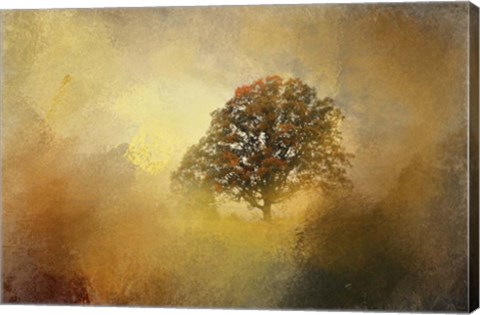 Framed Splendor Print