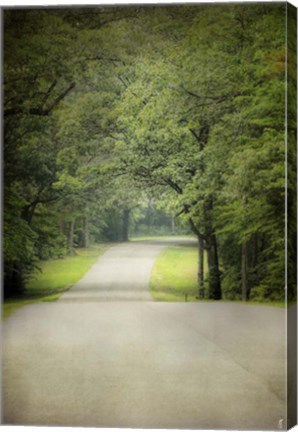 Framed Summer Morning Stroll Print