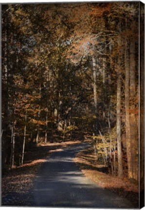 Framed Sunlit Autumn Path Print