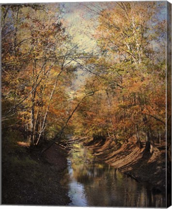 Framed Upstream Print