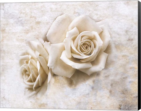 Framed Vintage Rose 4 Print