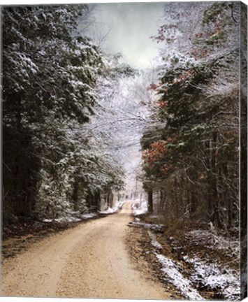 Framed Winter Paradise Print