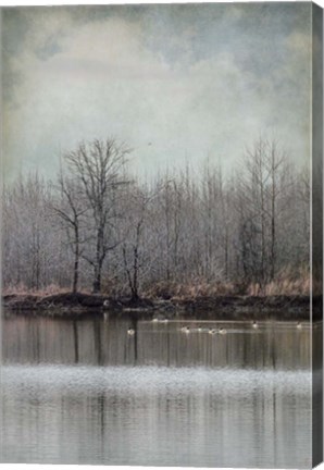 Framed Winter Solitude Print