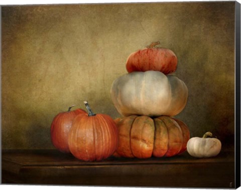 Framed Pumpkins Still Life Print