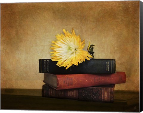 Framed Classics Print