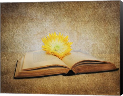 Framed Joy Of Reading Print