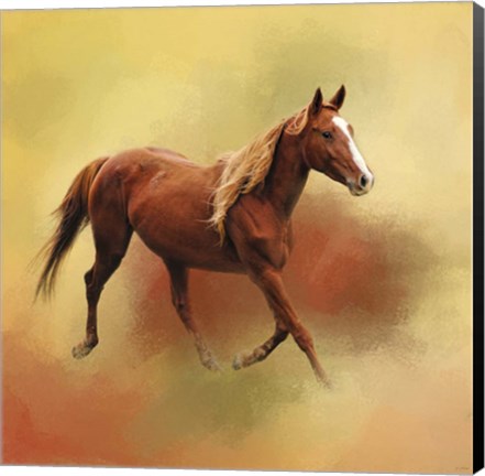 Framed Dash Of Chestnut Mare Print