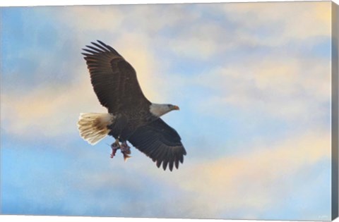 Framed Bringing In The Leftovers Print