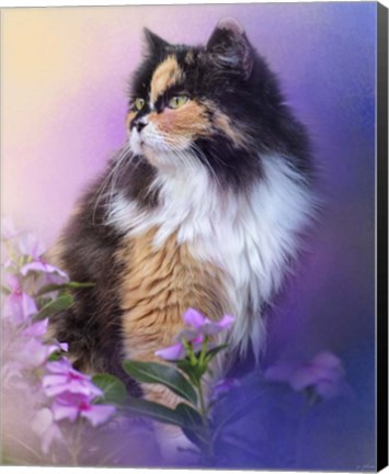 Framed Calico Kitty In The Garden Print