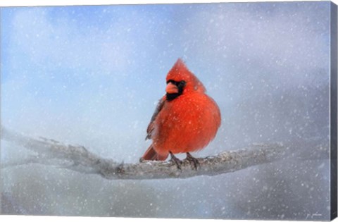 Framed Cardinal In The Snow Print