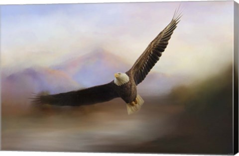 Framed Eagle At The Mountain Print
