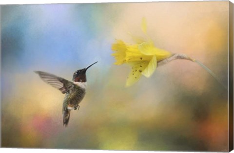 Framed Garden Visitor Print