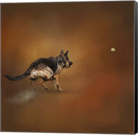 Framed Gimme That Ball German Shepherd Print