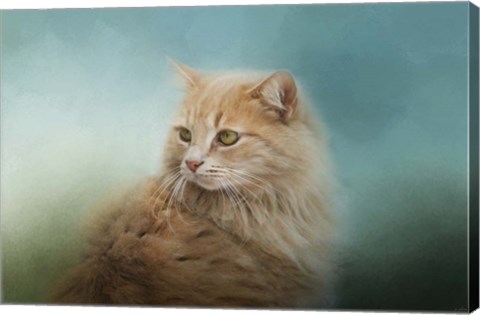 Framed Over Her Shoulder Print