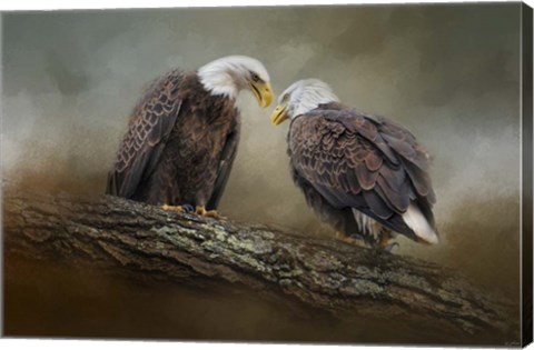 Framed Quiet Conversation Bald Eagles Print