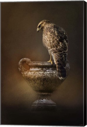 Framed Sacred Moment Print