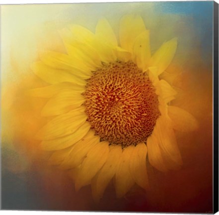 Framed Sunflower Surprise Print