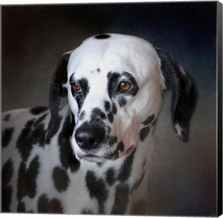 Framed Firemans Dog Dalmatian Print