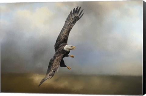 Framed Up Against The Stormy Sea Bald Eagle Print