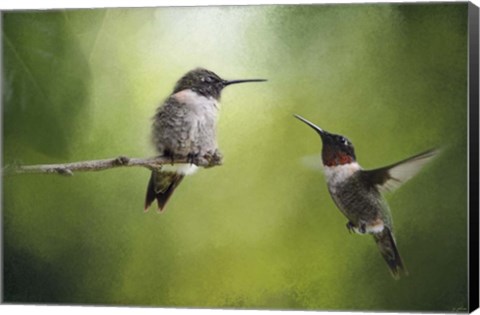 Framed Wake Up Call Hummingbirds Print