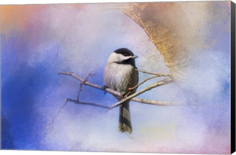 Framed Winter Morning Chickadee Print