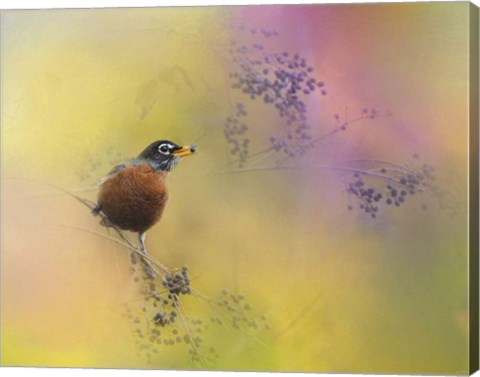 Framed Berries In The Woods Print