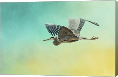 Framed Heron At Sea Print