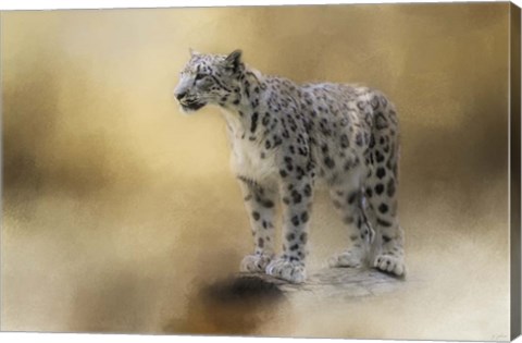 Framed Snow Leopard Print