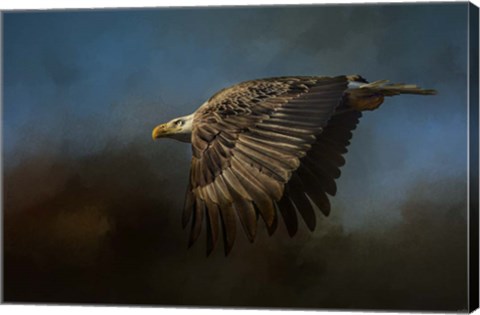 Framed Storm Chaser Bald Eagle Print