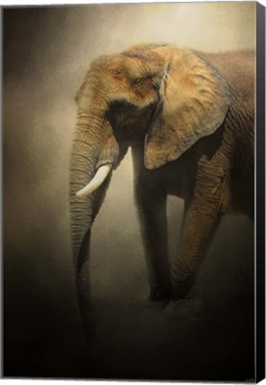 Framed Elephant Emerges Print