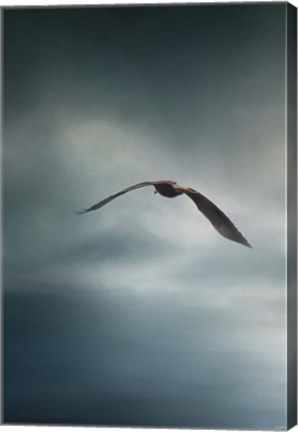 Framed Through The Rolling Storm Bald Eagle Print