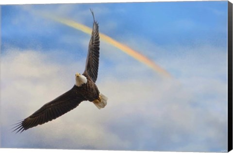 Framed When My Wings Touch The Rainbow Print