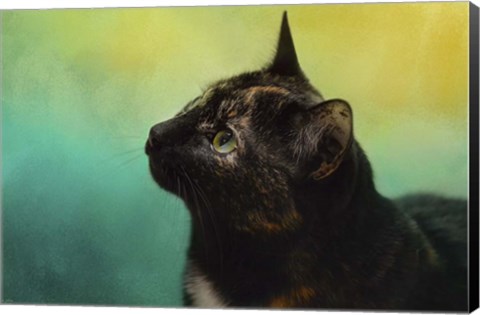 Framed By The Light Of The Sea Print