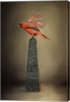 Framed Dancing On Marble Print