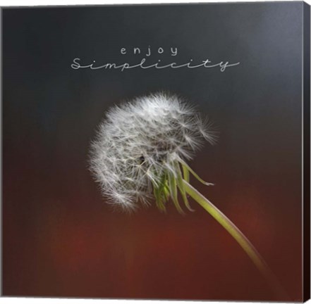 Framed Enjoy Simplicity Print