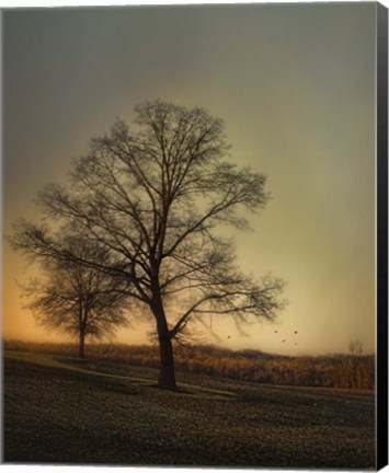 Framed Sunset At The Cotton Field Print