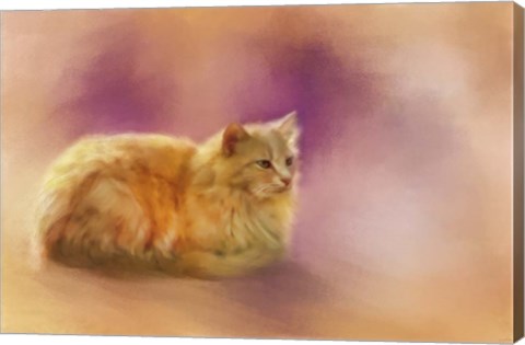 Framed Warmth Of A Perfect Day Print