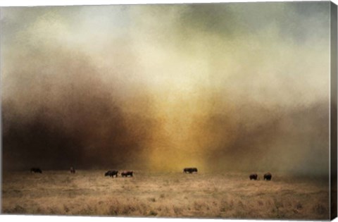 Framed Where The Buffalo Roam Print