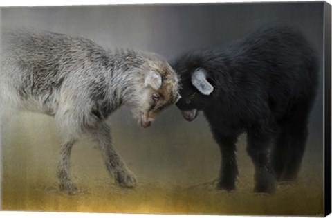 Framed Meeting Of The Minds Print