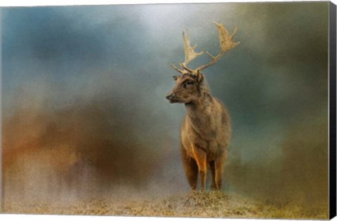 Framed Painterly Fallow Buck Print