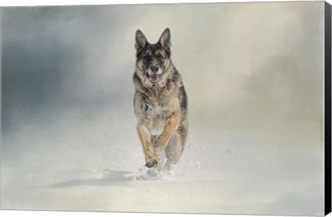 Framed Snow Day For The Shepherd Print