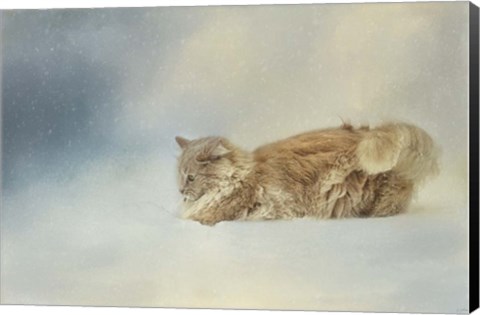 Framed Snow Diving Print