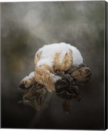 Framed Waiting On Spring Print