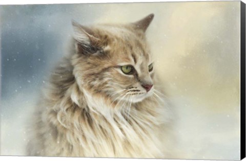 Framed Watching Snow Fall Print