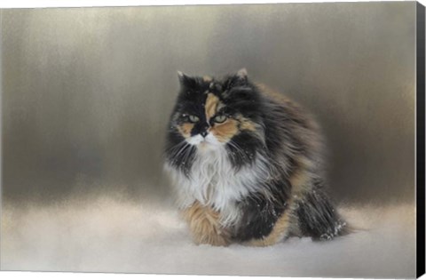 Framed Winter Journey Print