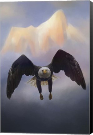 Framed Mountain Flight Print