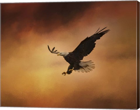 Framed No Fear Print