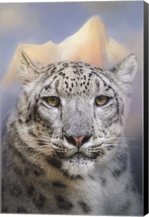 Framed Snow Leopard At The Mountain Print