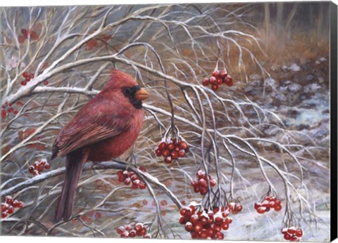 Framed Cardinal and Berries Print